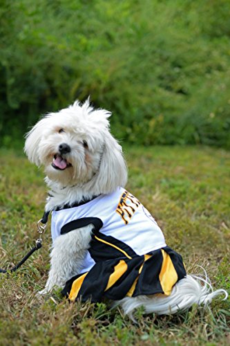 Mirage-NFL-Pittsburgh-Steelers-Dog-Cheerleader-Dress
