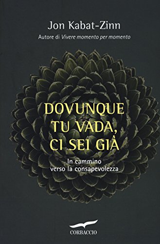 Dovunque tu vada ci sei già. Capire la ricchezza del nostro presente per iniziare il cammino verso la consapevolezza Dovunque tu vada ci sei già. Capire la ricchezza del nostro presente per iniziare il cammino verso la consapevolezza