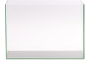 NATUREHOLIC Tanque de cristal de Pico Curved Garden Tank | Nano Acuario de cristal con esquinas redondeadas | Acuarios premium Aquascaping | 12 litros – 30 x 19 x 21 cm