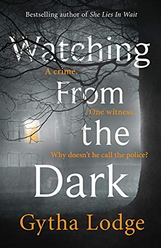 Cover zum Buch Watching from the Dark