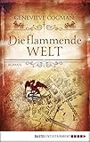 Image de Die flammende Welt: Roman
