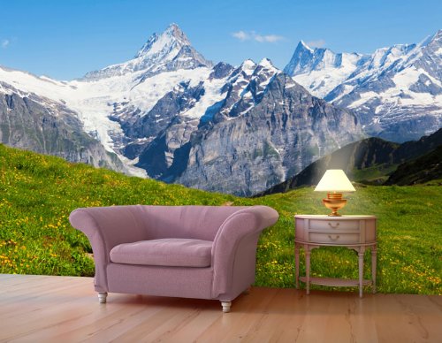 Fototapete Sommerwiese in den Alpen KT356 Größe: 350x260cm Alm Sommer Grün - 2