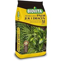 Drachenbaum-Dünger Von Green24 - Flüssiger Volldünger NPK Für Dracaena, Einfach In Der Anwendung