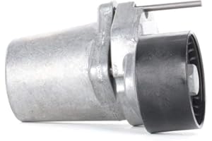 INA 534 0320 10 - Braccio Tenditore, Cinghia Poly-V