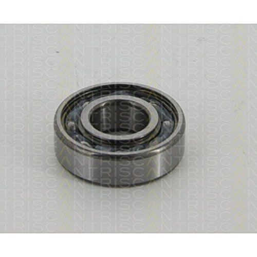 Preisvergleich Produktbild Triscan 8531 6204 Radlagersatz