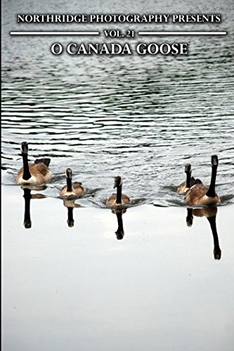 Preisvergleich Produktbild O Canada Goose (Northridge Photography Presents, Band 21)
