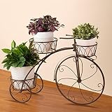 ZXWDIAN Estante de la Planta Soporte para Flores: Adornos para Bicicletas...