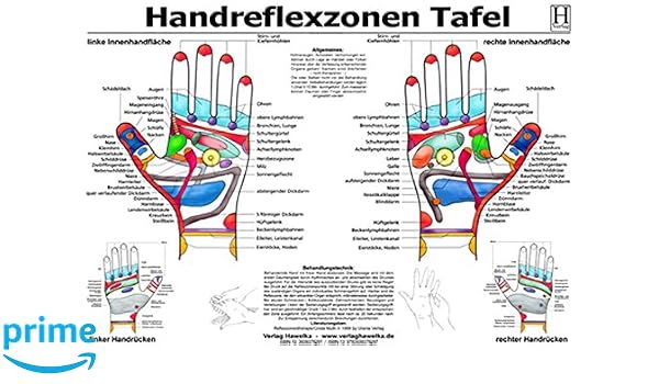 Handreflexzonen Tafel A3 Laminiert Amazon De Hawelka Verlag