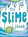 Produktbild The Slime Book: All You Need to Know to Make the Perfect Slime