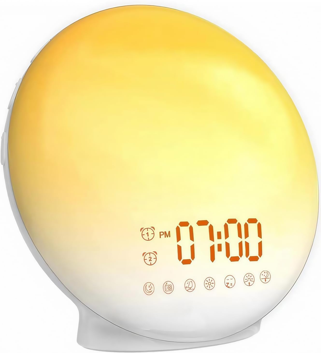 Vue 12