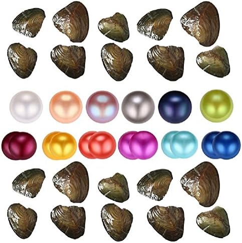10pcs Love Wish Pearl Oyster Twins/Single Pearl Inside Freshwater Cultured 6-8mm AA Grade, Colourful Pearls In Oyster Mothers Day Gift (Single Pearl Oyster X10 + Twins Pearl Oyster X10)