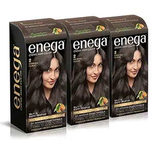 Prem Green Enega Cream Hair Color with Argan Oil and Green Tea Extract (Black 2, 100 ml/Each) - Pack of 3