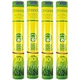 Outdoor Garden Citronella Incense Insect Repellent Sticks With Holder 30 Sticks (Pack of 4).