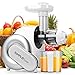 Produktbild Entsafter, SimpleTaste Slow Juicer Automatischer horizontaler Saftauffangbehälter Kaltpress mit Saftbehälter, maximale Nährstoffextraktion für Obst und Gemüse
