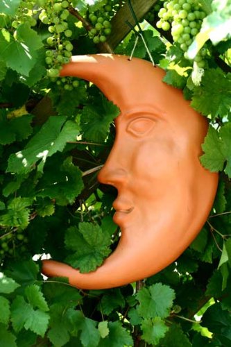 Mond groß