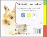 Image de Conejito y sus amigos (Acariciame)