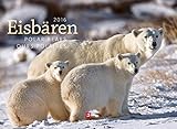 Image de Eisbären 2016
