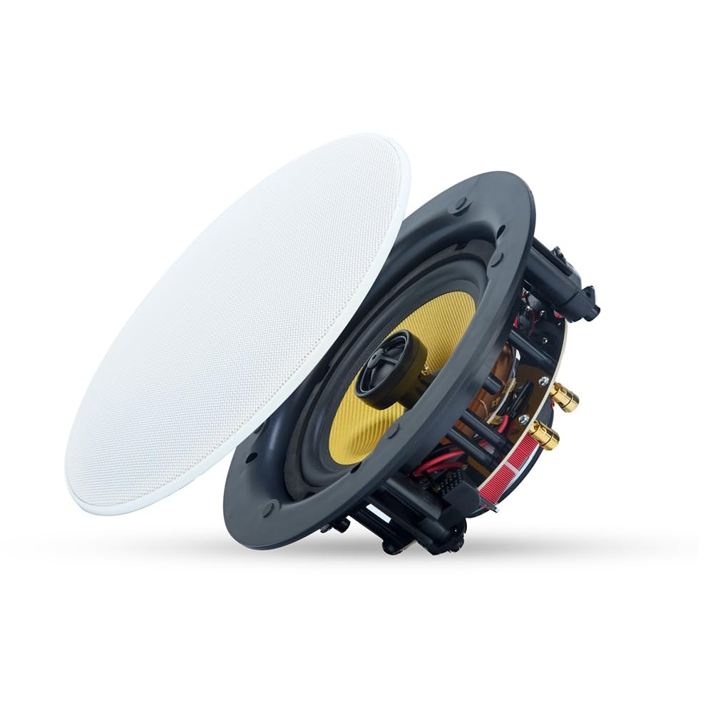 Winston 6.5 Inch In-Ceiling Speaker Review: Whole House Audio & Home Theater