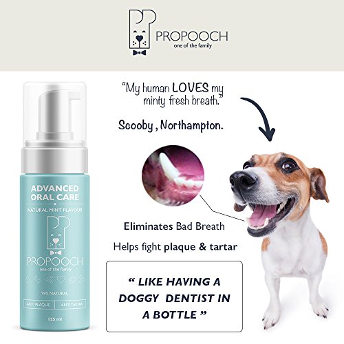 pro pooch breath freshener
