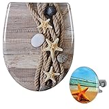 Durchmesser: 6,38 cm; Höhe einstellbar: 6,85 cm bis 9 cm