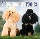 Toy and Miniature Poodles 2015 - Toypudel und Zwergpudel: Original BrownTrout-Kalender [Mehrsprachig] [Kalender] by 