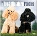 Toy and Miniature Poodles 2015 - Toypudel und Zwergpudel: Original BrownTrout-Kalender [Mehrsprachig] [Kalender] by 