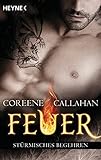 Feuer - Stürmisches Begehren: Feuer 5 - Roman