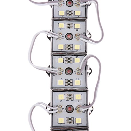 20st 5050 SMD 4-LED Module Weiss Wasserdicht Module 12V - 5