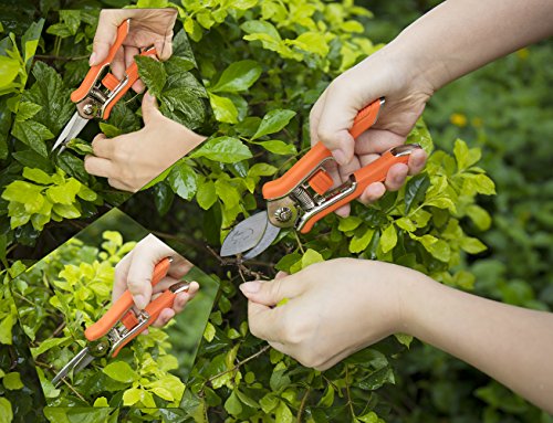Lopunny Hand Gartenschere 2 Stück Garden Tools Set Mini Beschneiden Bypass neigen und Micro-Tip trimmen Schere - 6