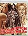 Corruption Of Chris Miller (2 Blu-Ray) [Edizione: Stati Uniti] [Italia] [Blu-ray]