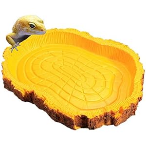 Tutoy Reptil Schildkröte Wasser Gericht Essen Schüssel Amphibien Gecko Schlangen Eidechse Fütterung Dish