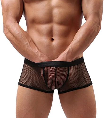 Tenchif Sexy Mens Underwear Mesh See Through Transparent Boxers Shorts Briefs