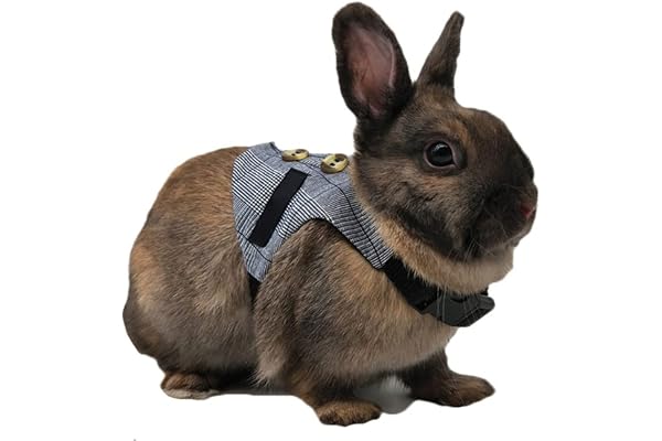 Lapin Harnais Respirant Doux avec Laisse Lapin Animal Domestique Petit Animal Marche Harnais Gilet Laisse Laisse(S)