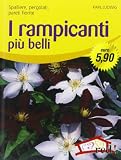 I rampicanti più belli