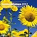 Sonnenblumen 2012 Art12 Collection: Broschürenkalender by