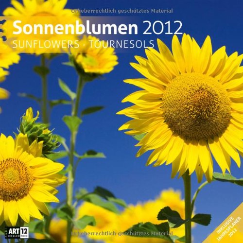 Sonnenblumen 2012 Art12 Collection: Broschürenkalender