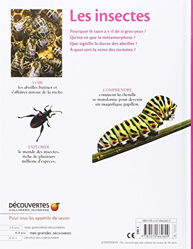 Book's Cover of Les insectes