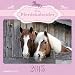 Mein Pferdekalender 2015 - Broschürenkalender (30 x 60 geöffnet) - Tierkalender by 