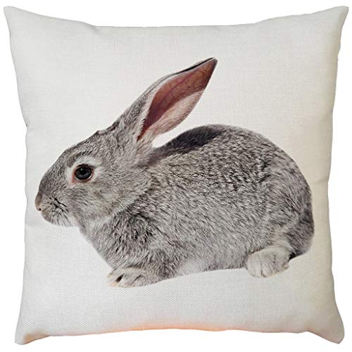Preisvergleich Produktbild Sillor Dekokissen Ostern Kuschelkissen Bettkissenbezug Kaninchen Couchkissen Kissenbezug Kissen (AJ-Grau, 45X45CM)