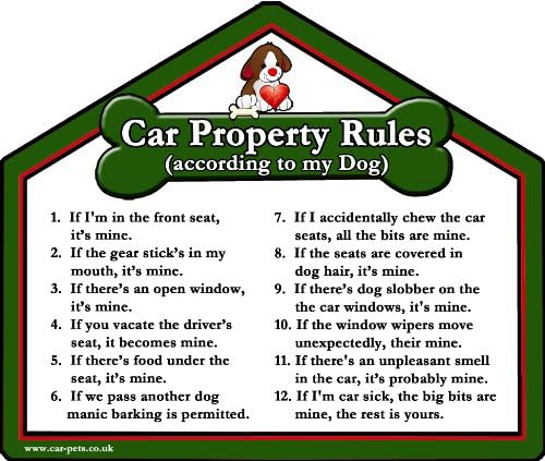 Show Dogs Dog Car Property Rules Double-sided Sticker for Dog Lovers
