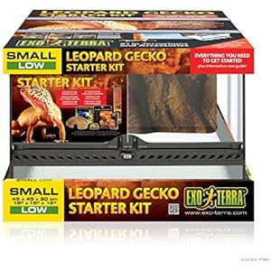 Exo Terra Leopard-Gecko Starter Kit