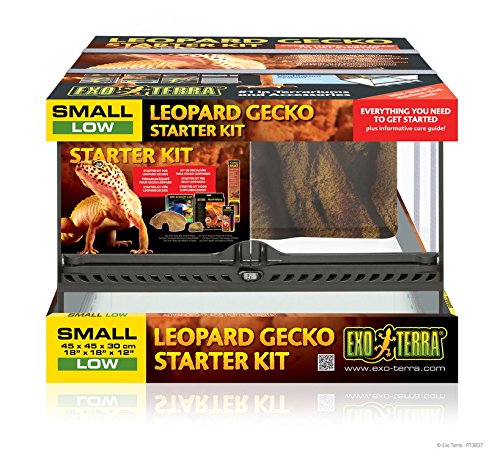 Exo Terra Kit de Incio para Gecko
