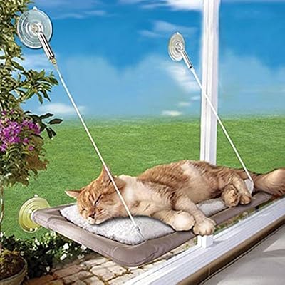 Ammon Lowen Hamac à Chats Panier pour Chat Lit près de la fenêtre sécurité Poids jusqu'à 30 lb