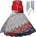 MPC Cute Fashion Baby Girls Princess Popcorn Net Party Wear Frock Dress (Ba202161012_PorcornNet_Red_16_Red_6-12 Months) RS.670.00