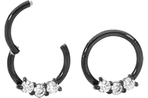 365 SLEEPERS 316L Surgical Steel Hypoallergenic 16G Gem Septum Jewelry Hinged Segment Ring Body Piercing Hoop Lip Rings Helix Cartilage Rook Sleeper Earrings 8mm – 10mm