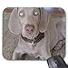 Produktbild Weimaraner Puppy Mouse Pad