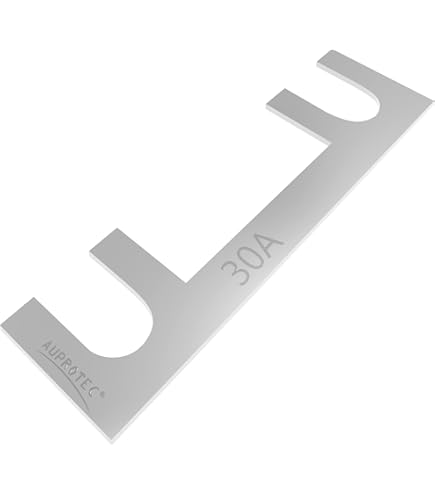 60 stuks zekeringbladen band, zekeringfolie, 30 A, 40 A, 50 A, 80 A, 100 A, 150 A, 150 A, platte zekering, autozekering voor campingauto, auto