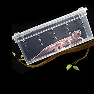 bureze Kunststoff Kunststoff Insekten Reptile Füttern Fall