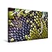 Produktbild Calvendo Premium Textil-Leinwand 45 cm x 30 cm Quer, Früchte-Allerlei | Wandbild, Bild auf Keilrahmen, Fertigbild auf Echter Leinwand, Leinwanddruck: Sonnenblume Natur Natur