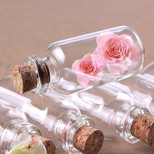 Monkeybrother Mini Glasfläschchen mit Korkverschluss / kleine Glasflaschen / Mini Flasche / Mini Fläschchen mit Korken 22×50 mm 8 Stk. - 3